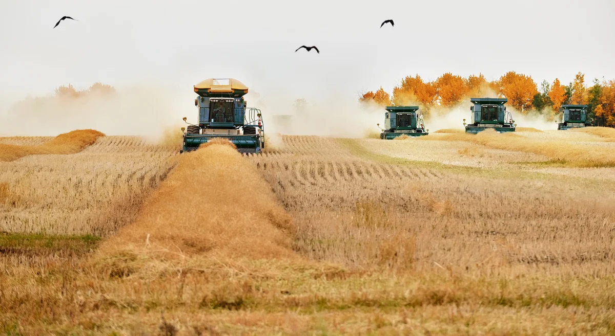 Which Industrials Stock Do Analysts Like Better: Deere or Caterpillar?