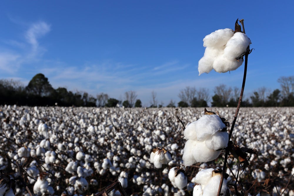 J. Crew, Gap Inc, Kiabi, join US Cotton Trust Protocol Board - Yahoo Finance