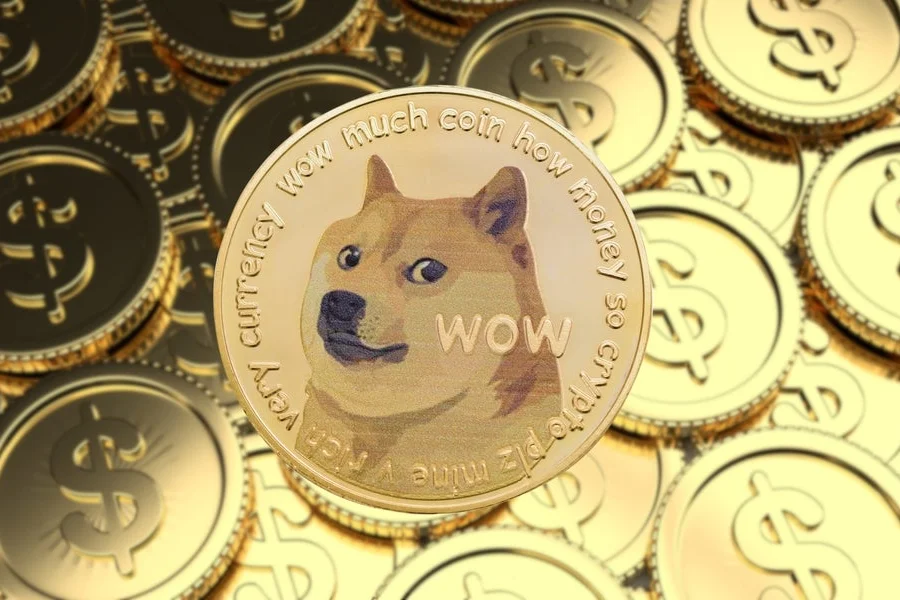 Elon Musk's 'DOGE' Department Mention Gives Dogecoin Boost To Top Of Daily Gainers: Memecoin Spikes 6%