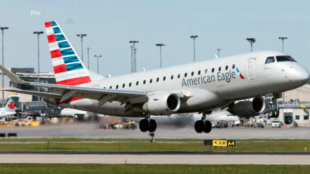 Video American Eagle flight makes emergency landing in Baltimore due to bird strike - ABC News