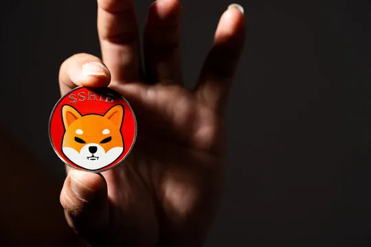 Recent Developments Show Why The Shiba Inu Price Keeps Crashing