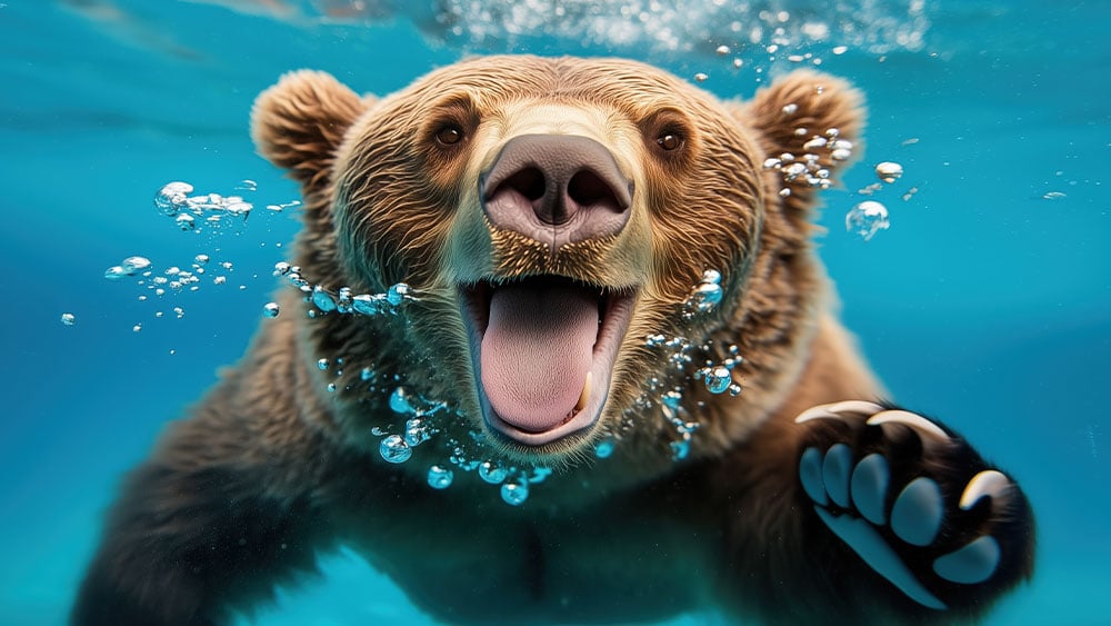 Dow Jones Futures: Stock Market Tumbles As Tesla, Nvidia, Palantir Sell Off