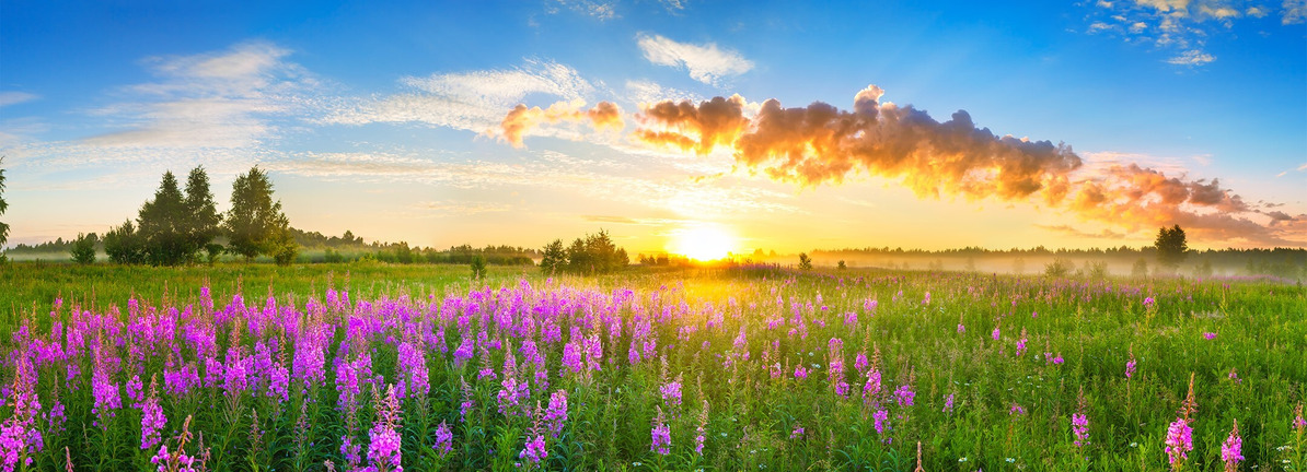 Are Robust Financials Driving The Recent Rally In CECO Environmental Corp.'s Stock?