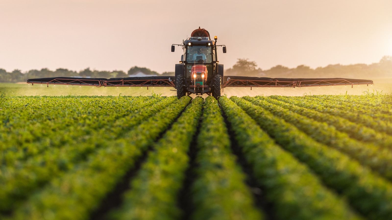 CF Industries Holdings Has The Market Looking Twice, But Why?