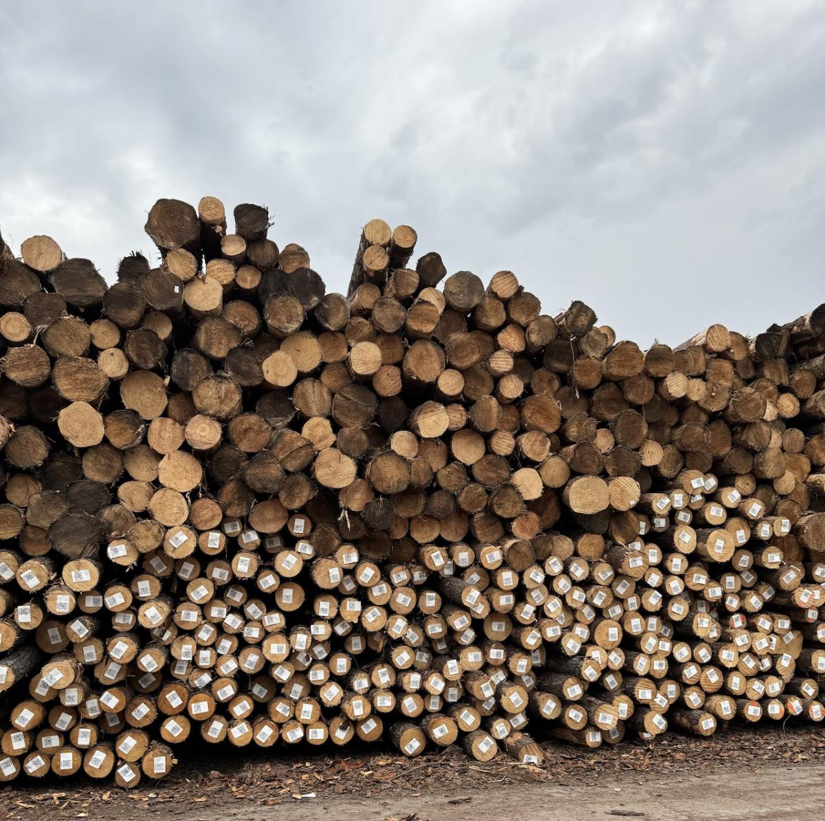 Rayonier Earns PEFC Sustainability Certification for Log Yard - Yahoo Finance