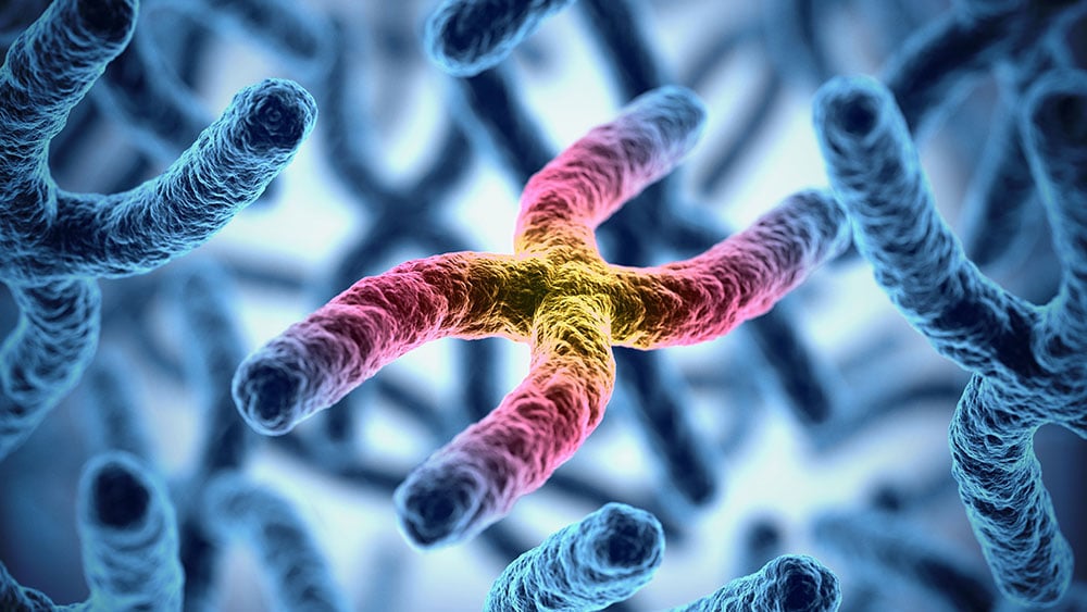 This Profitable Biotech Stealthily Climbs Into A Buy Zone