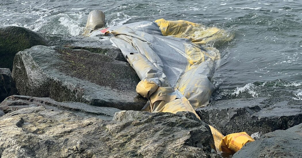 Emergency Slide That Fell From Delta Flight Is Recovered From Queens Jetty - The New York Times