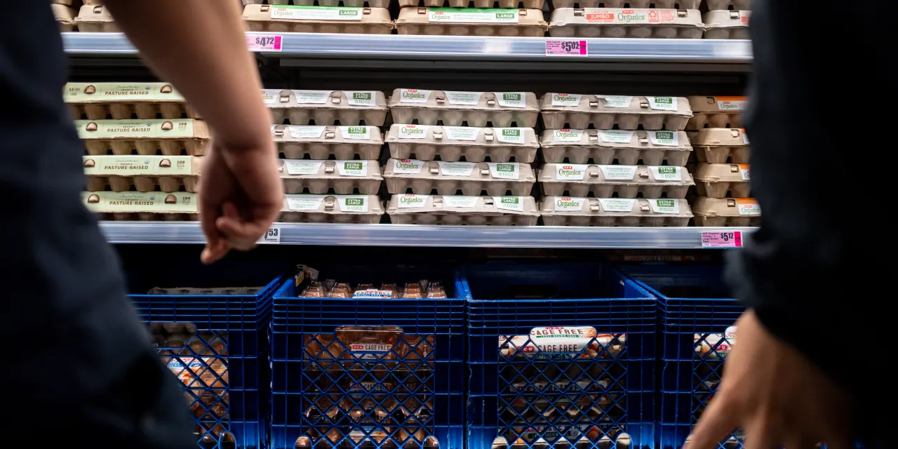 Egg Producers Settle DOJ Claims Over Benchmark Price Manipulation. Cal-Maine Investors Shrugged It Off.
