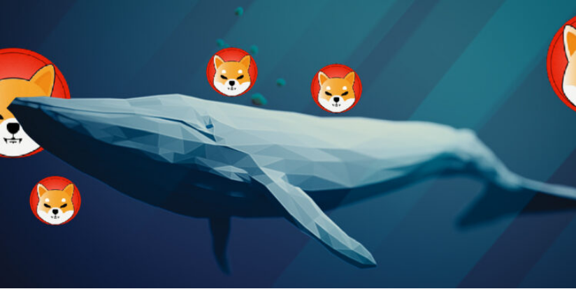 Shiba Inu Whale Moves 25 Trillion SHIB From Crypto Exchange To Cold Storage – Details