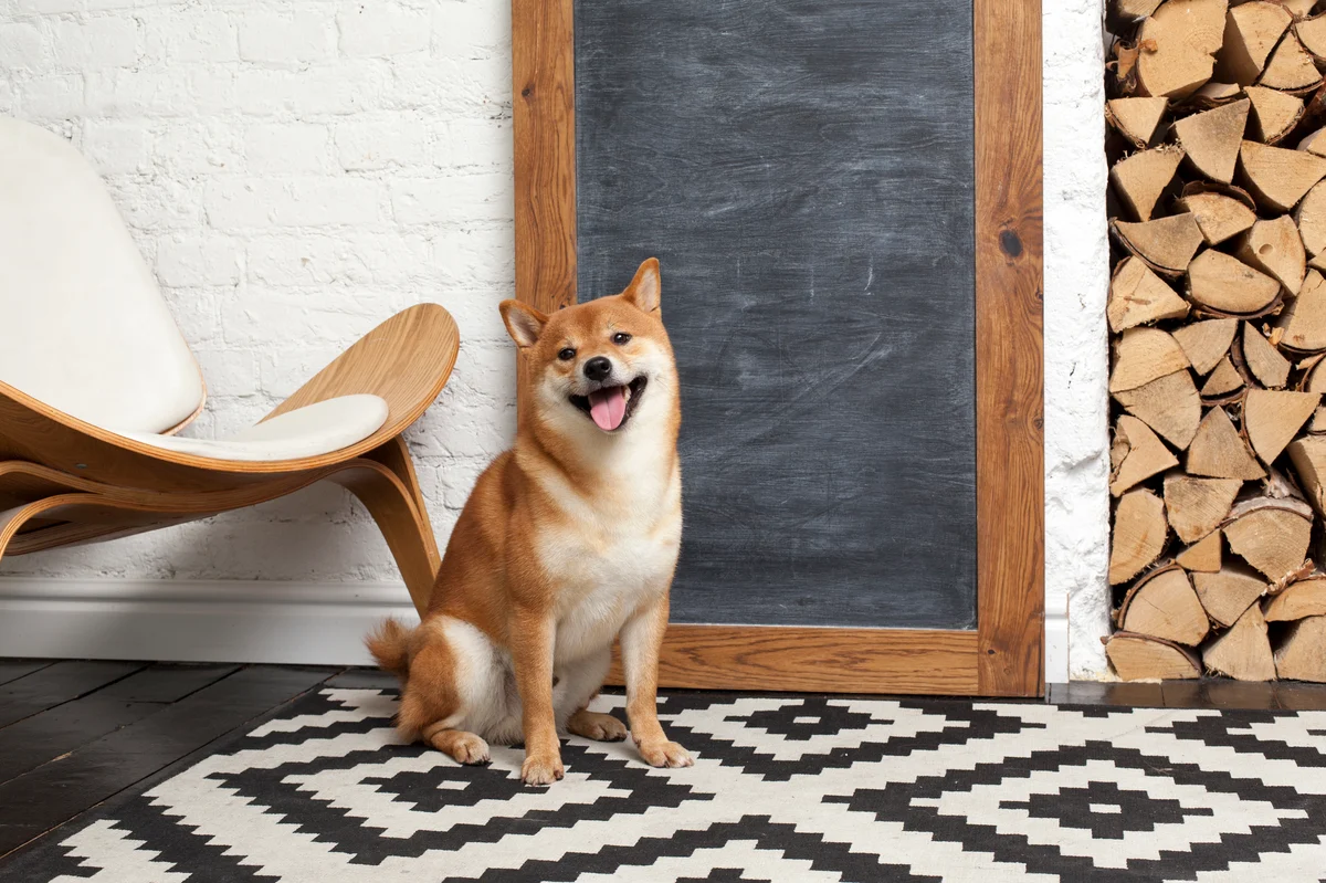 Can Shiba Inu Reach $1 During the Next Crypto Bull Market? The Answer Will Blow Your Mind.