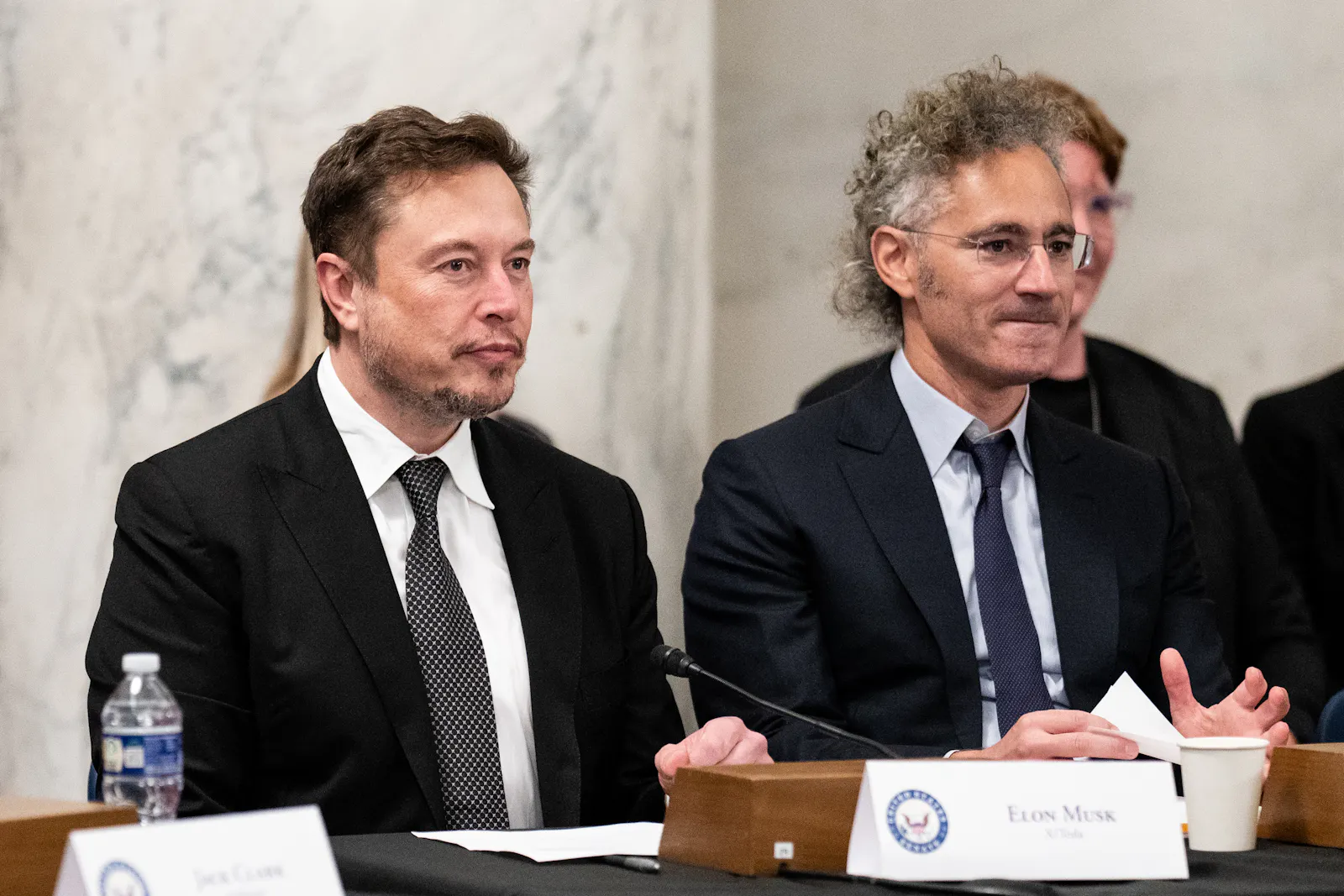 Maybe Tesla should be Palantir