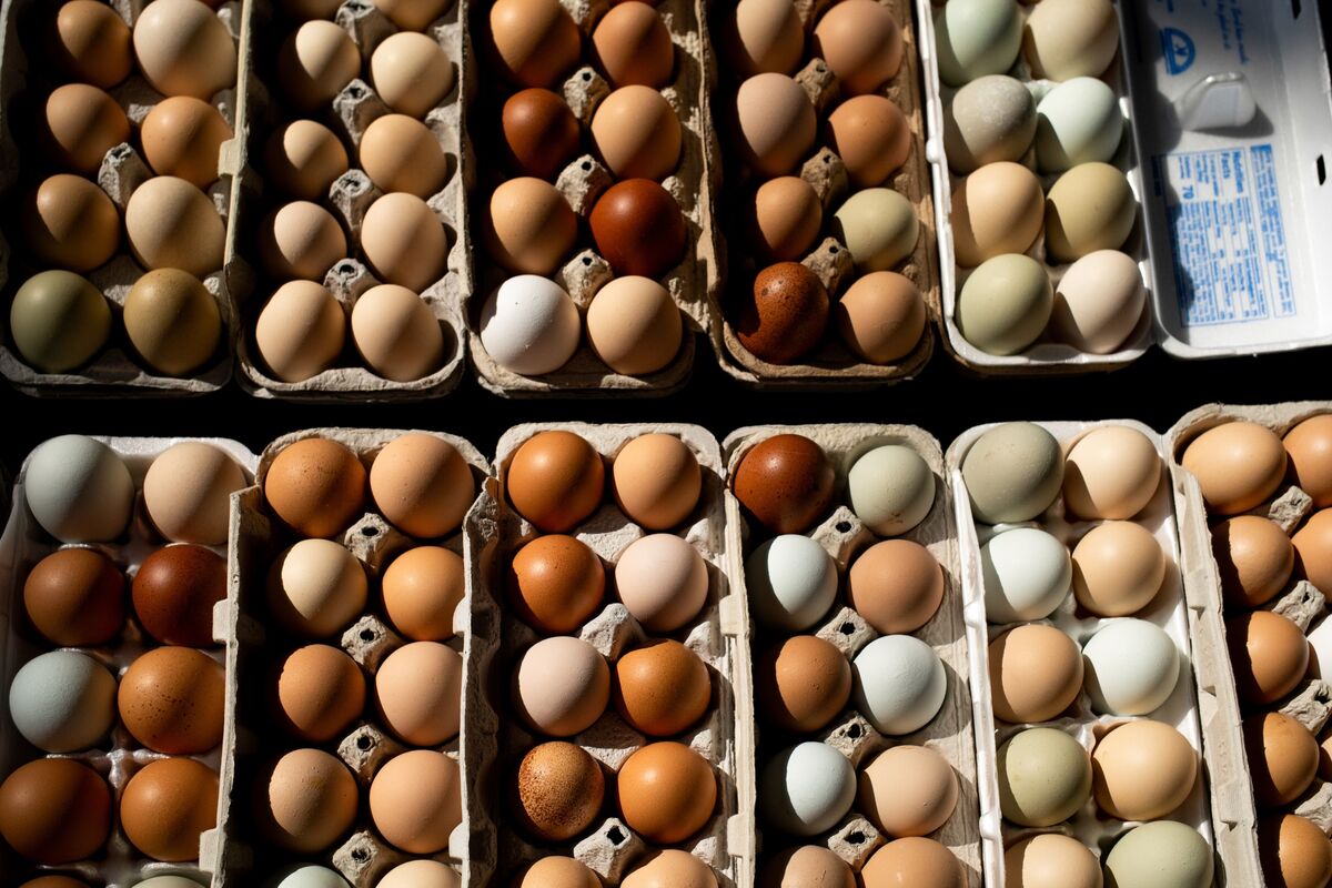 Cal-Maine Plunges as Shoppers Switch to Fancier, Specialty Eggs