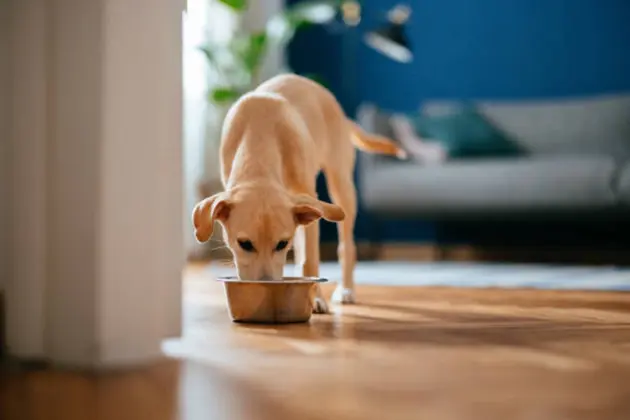 Freshpet COO takes on additional role, co-founder moves to advisor