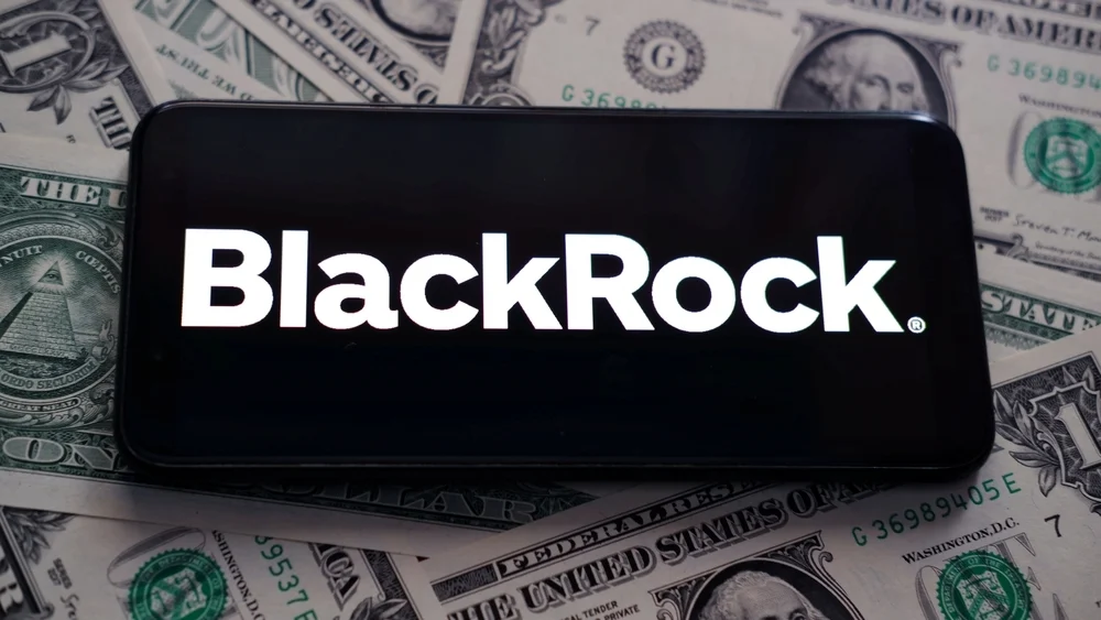 BlackRock Private Credit Fund Takes 5% Hit Amid Software Sector Struggles