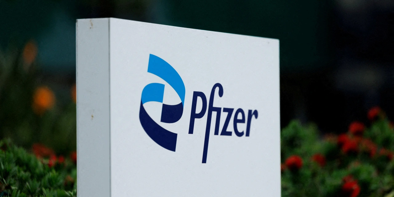 Pfizer, Valneva Report Strong Efficacy Data From Lyme Vaccine Trial
