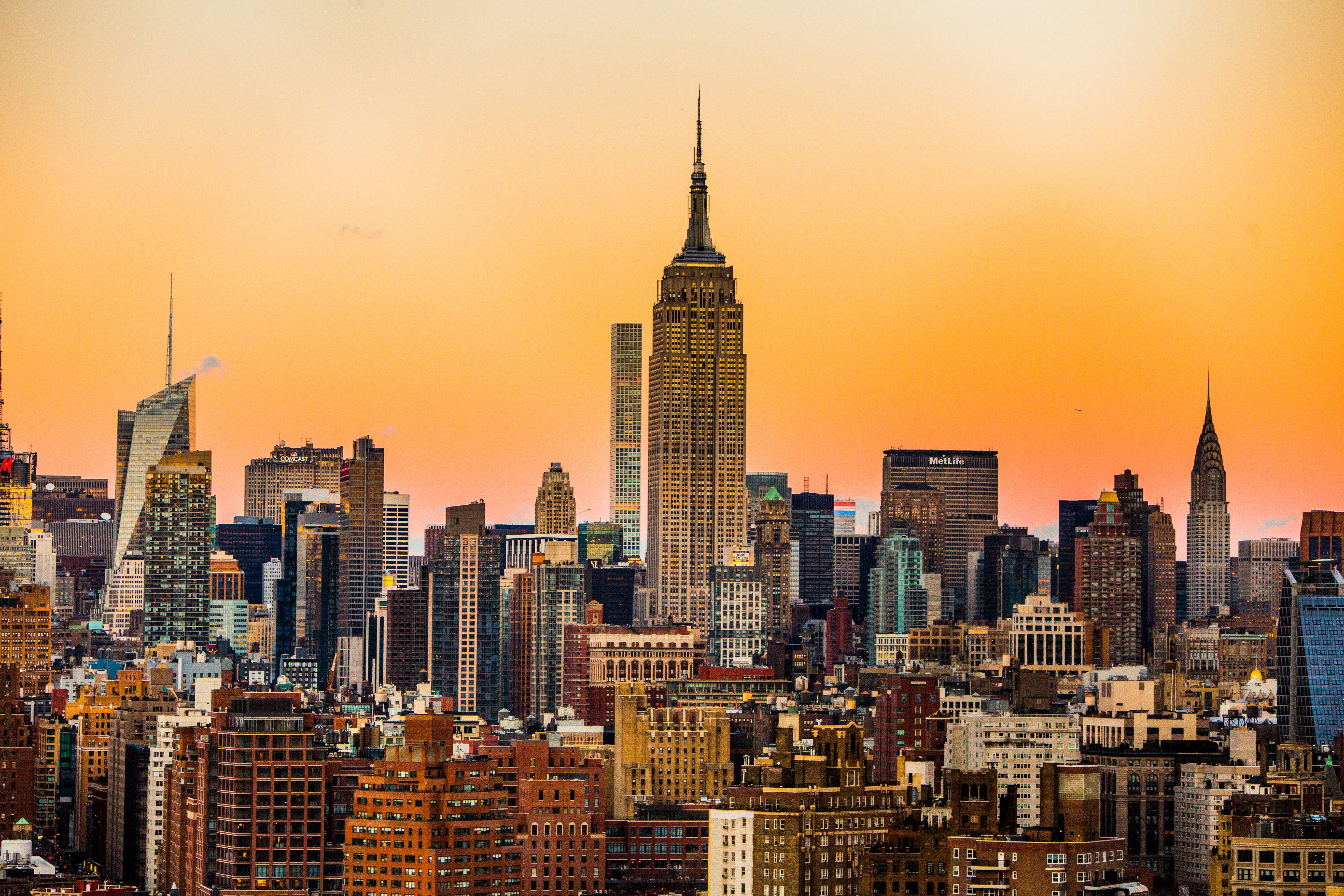 How Social Media Built a Global Hub for Bitcoin Treasuries