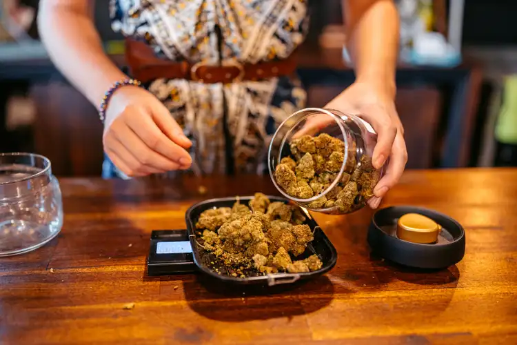 Will cannabis giants turn green this quarter: Here's what to expect