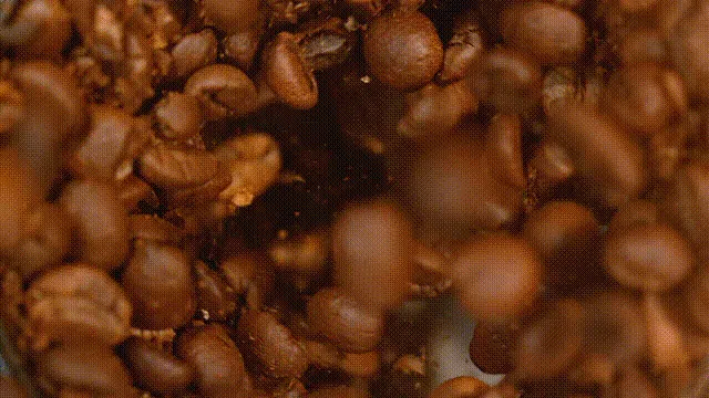 “Broistas” and protein-maxxing: Dutch Bros and other unlikely coffee challengers are terrifying Starbucks
