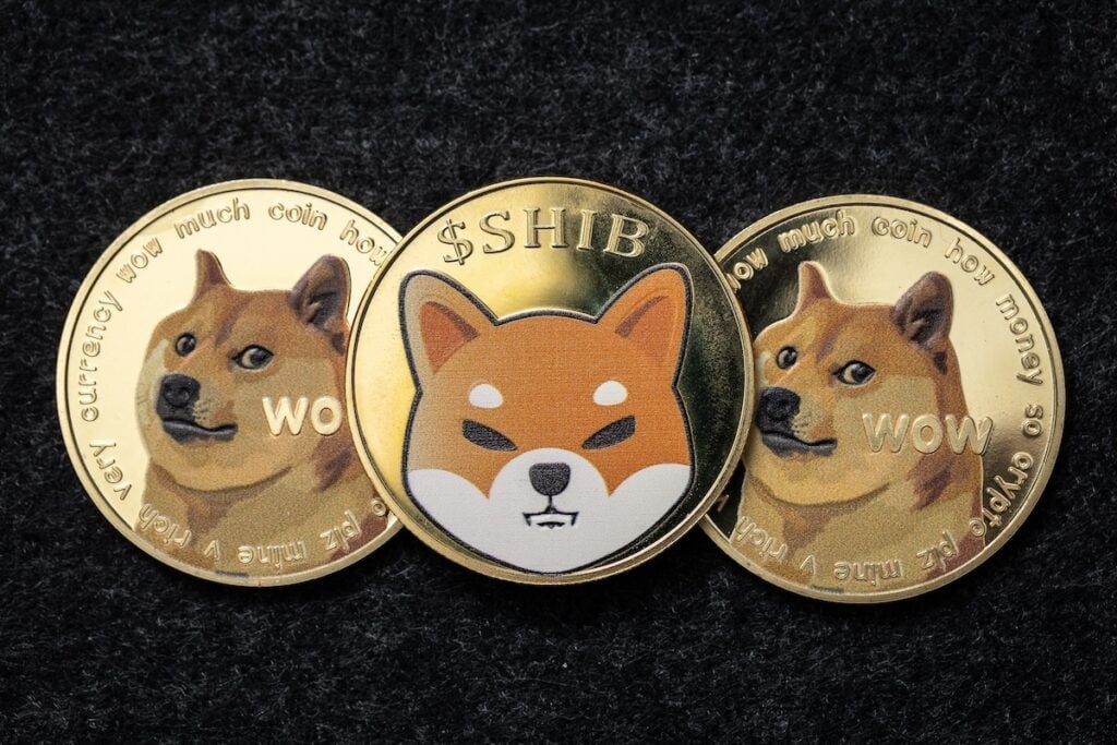 Dogecoin and Shiba Inu Momentum Will Make Meme Sector 'Better Off', Says Analyst — Slams Disrespect for ‘Biggest’ Names