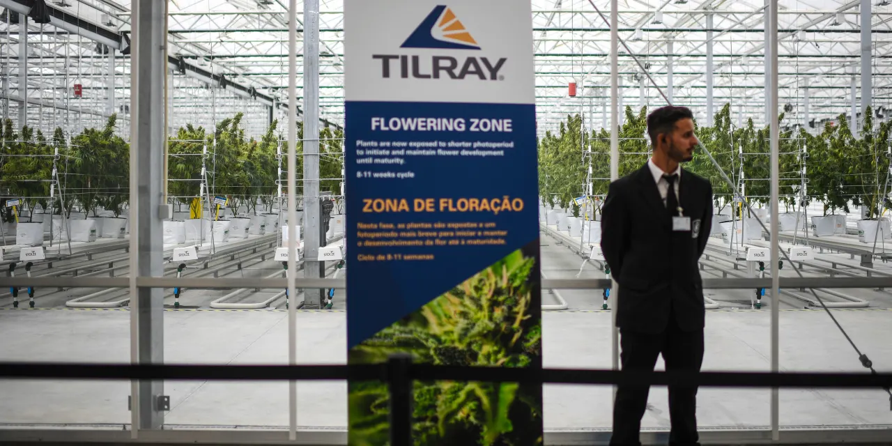 Tilray’s stock takes off on hope that cannabis will soon be treated more like steroids than heroin