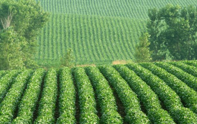 FMC Submits Rimisoxafen Regulatory Filing for Approval in Brazil