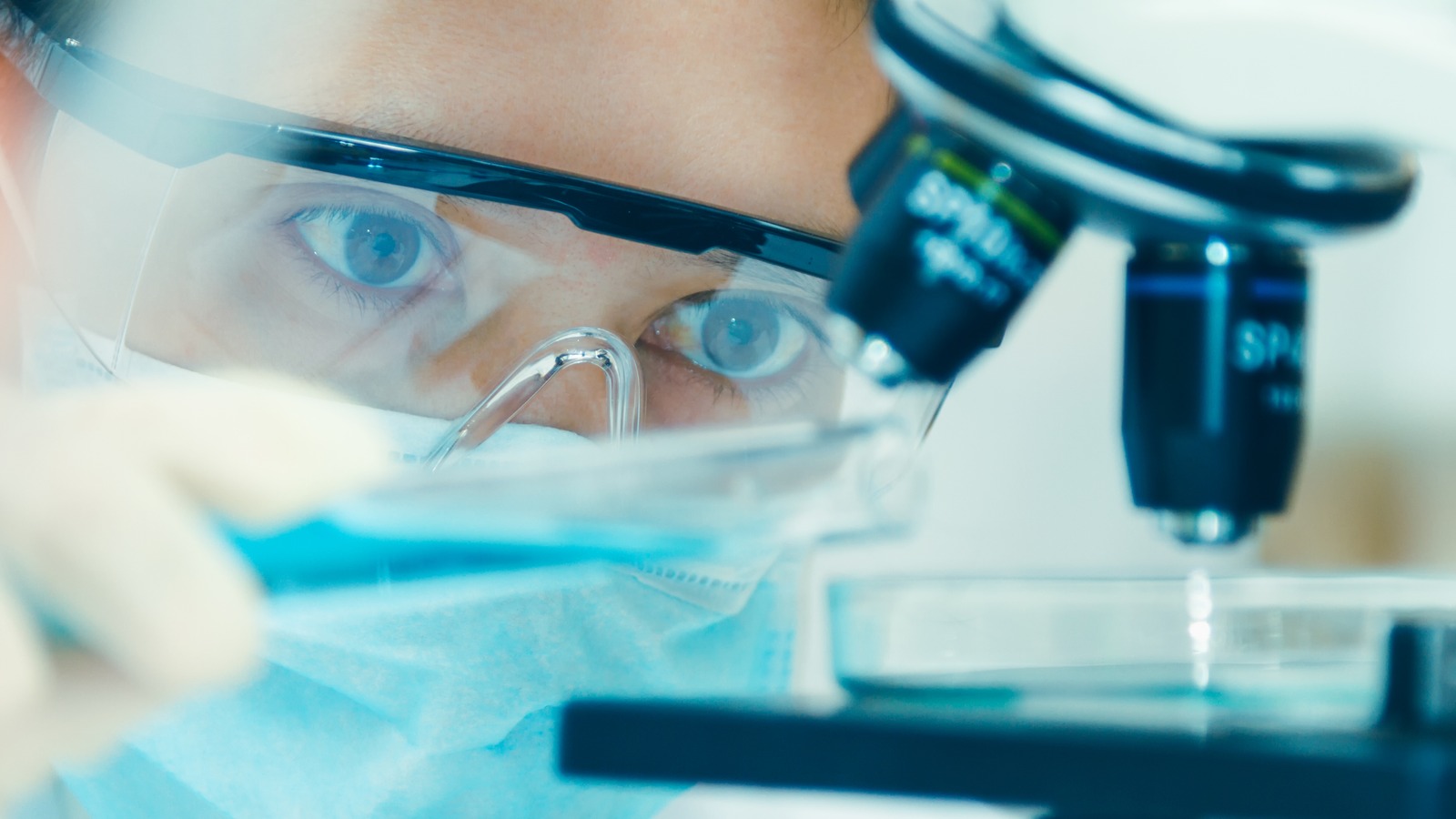 How Investors May Respond To Intellia Therapeutics Stock After Priority Review