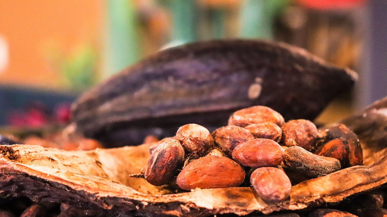 Cocoa Prices Fall as EU Delays Deforestation Rules