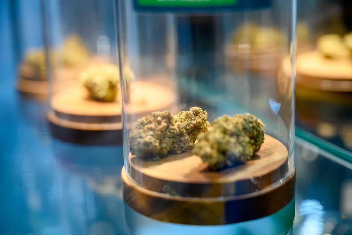 Should You Buy Tilray Stock Before July 15?