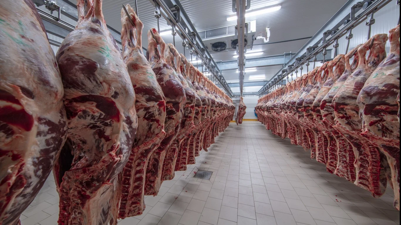 Trump's New Beef with Meat Packers Won't Fix Record Ground Beef Prices Before Midterms