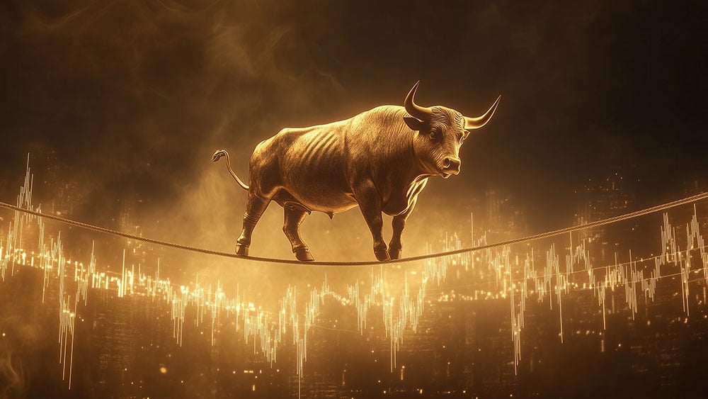 Wobbly Stock Market Rally Creates This Tightrope Balancing Act