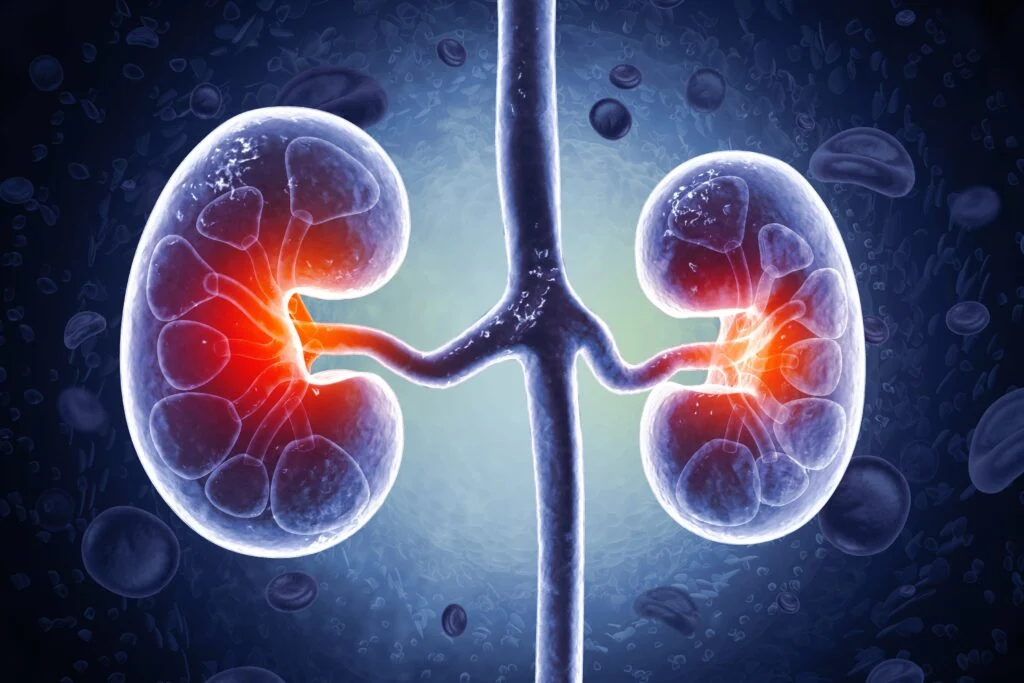 Vertex's New Kidney Drug Delivers Big Trial Win, Stock Jumps