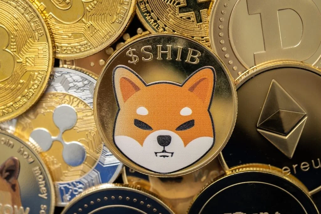 SHIB Burn Rate Soars To 26,493%, DOGE Soars To 20 Cents: What's Going On?