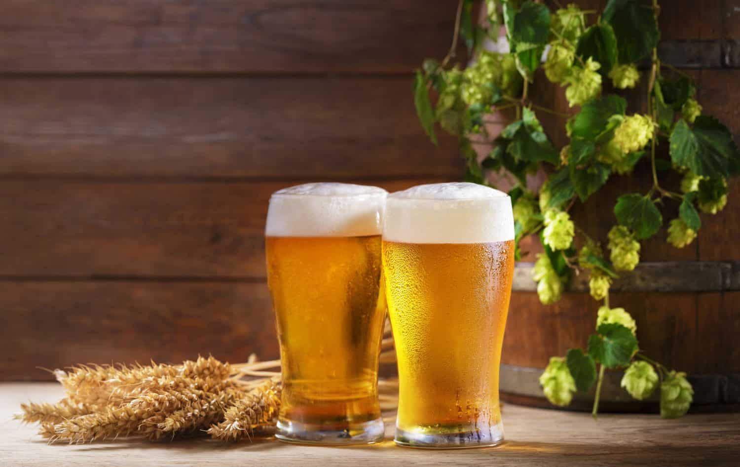STZ vs. TAP: Which Beer Stock Will Actually Grow Your Retirement Income?