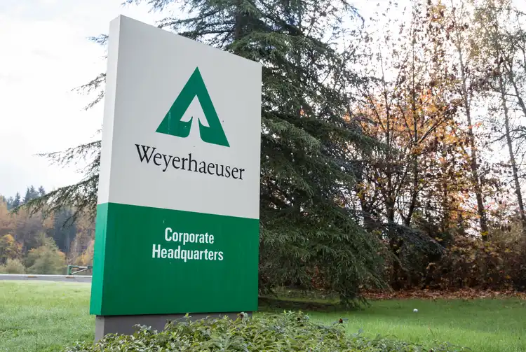Weyerhaeuser Q1 earnings, coming in a hair above consensus, drop sequentially