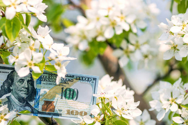 Best Growth Stocks to Buy for September 28th