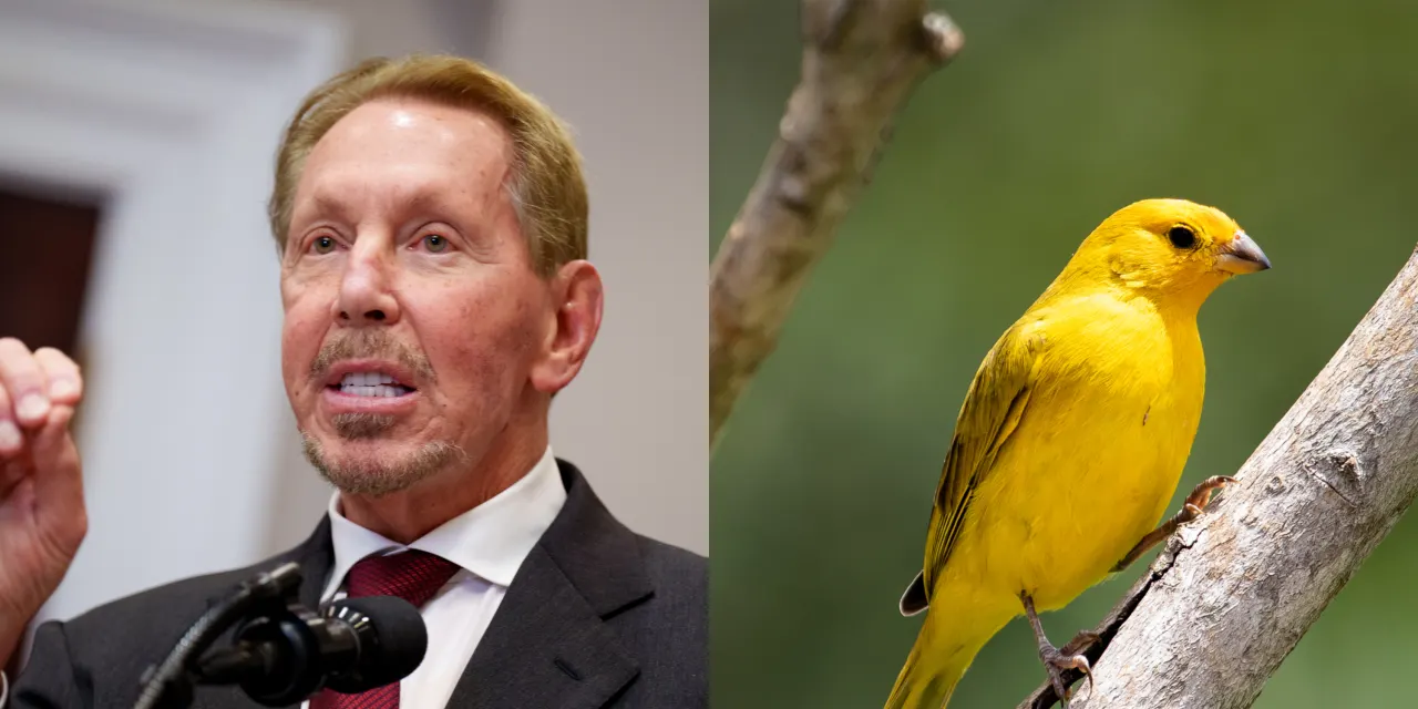 Oracle is the canary in the coal mine for Big Tech’s debt-fueled AI spending spree