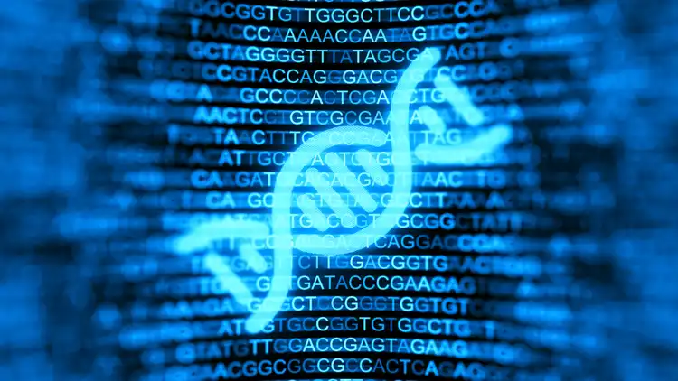 Genetic Technologies stock tumbles on direct offering pricing
