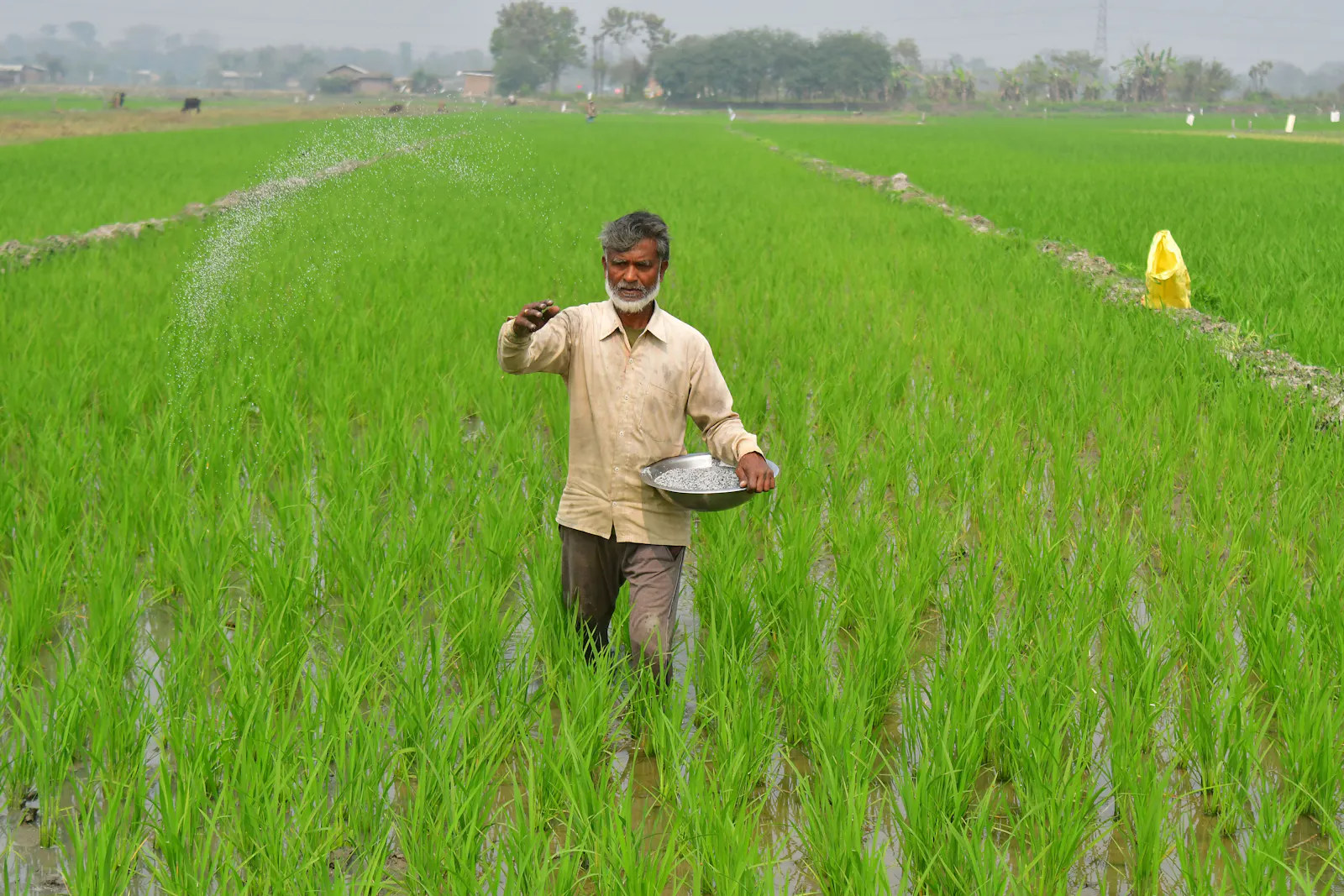 US chemical stocks soar as global competitors lose access to Mideast gas