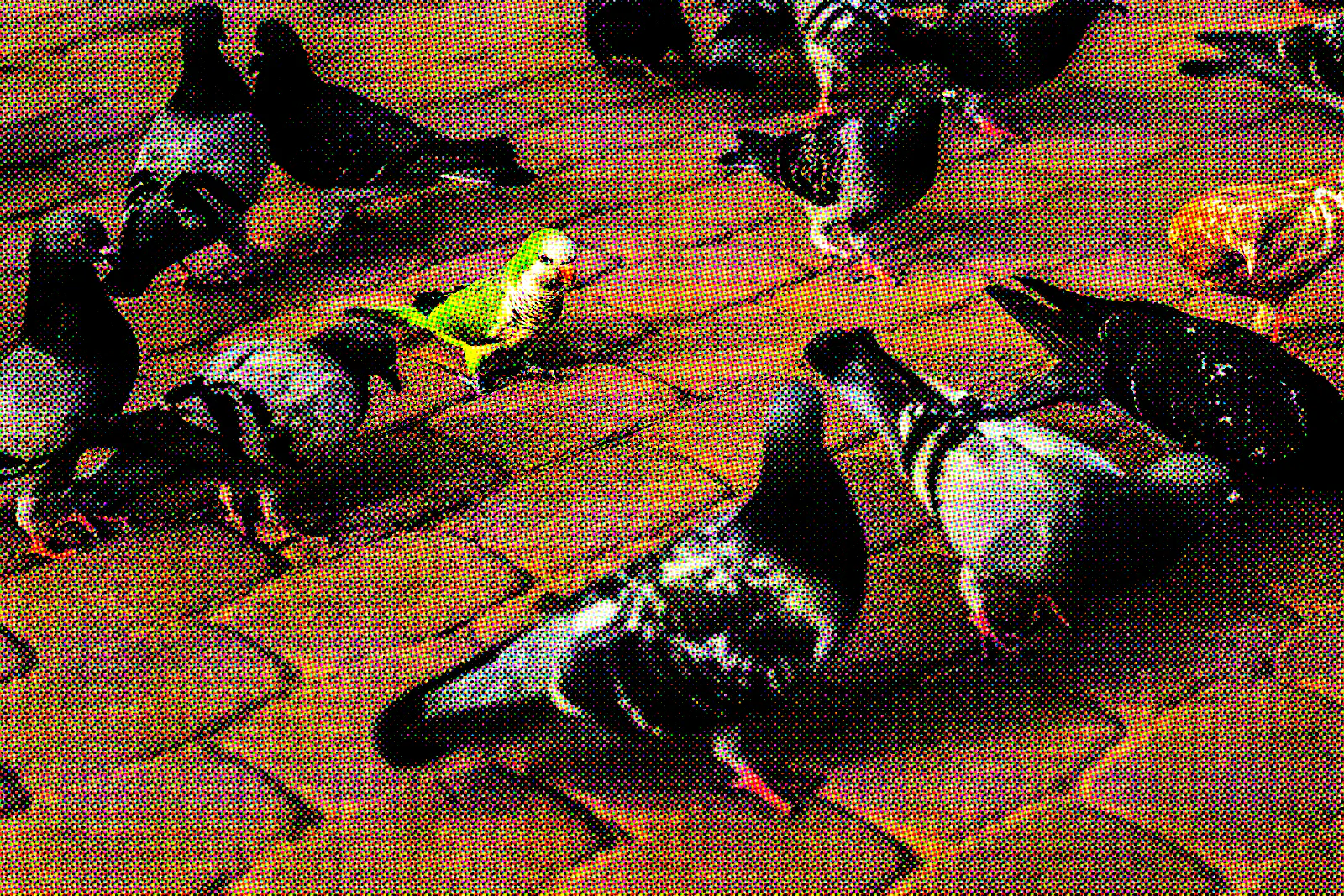 Apple’s stock is behaving differently from the rest of BATMMAAN because its AI strategy is nowhere