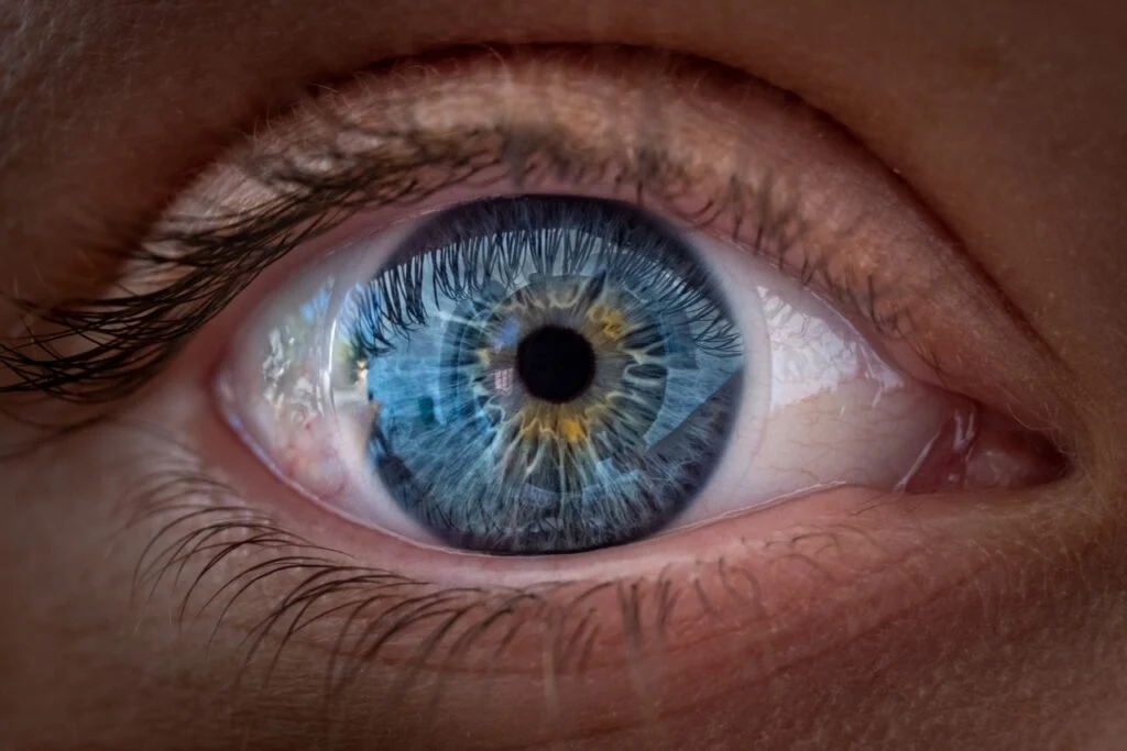 Why Is Eye-Disease-Focused Harrow Stock Falling Today?