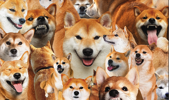 Why Not DOGE? Dogecoin Co-Founder Takes Aim At Bitcoin Reserve Idea