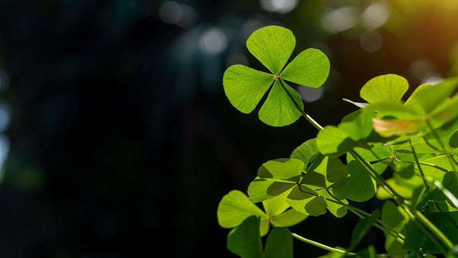 Stock Market Not Lucky On St. Patrick's Day; Baidu Gains Over 6%