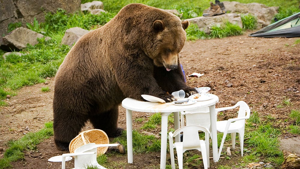 Dow Jones Futures: Stock Market Suffers Ugly Reversal As Nvidia Fizzles, Bitcoin Dives