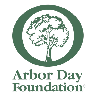 City of Charleston, Hilton Grand Vacations and Arbor Day Foundation Team up to Plant Trees in Hampton Park in Observance of Arbor Day - Yahoo Finance
