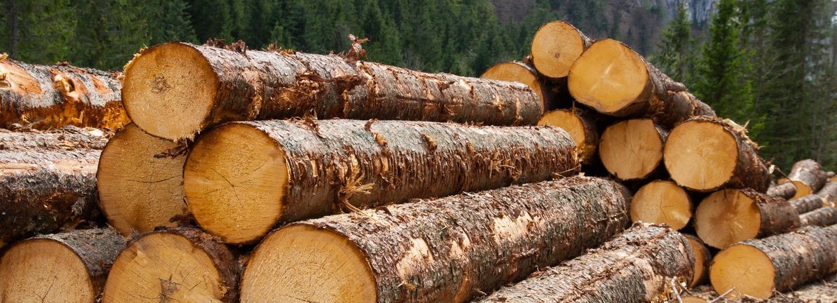 Investors Should Be Encouraged By Louisiana-Pacific's Returns On Capital
