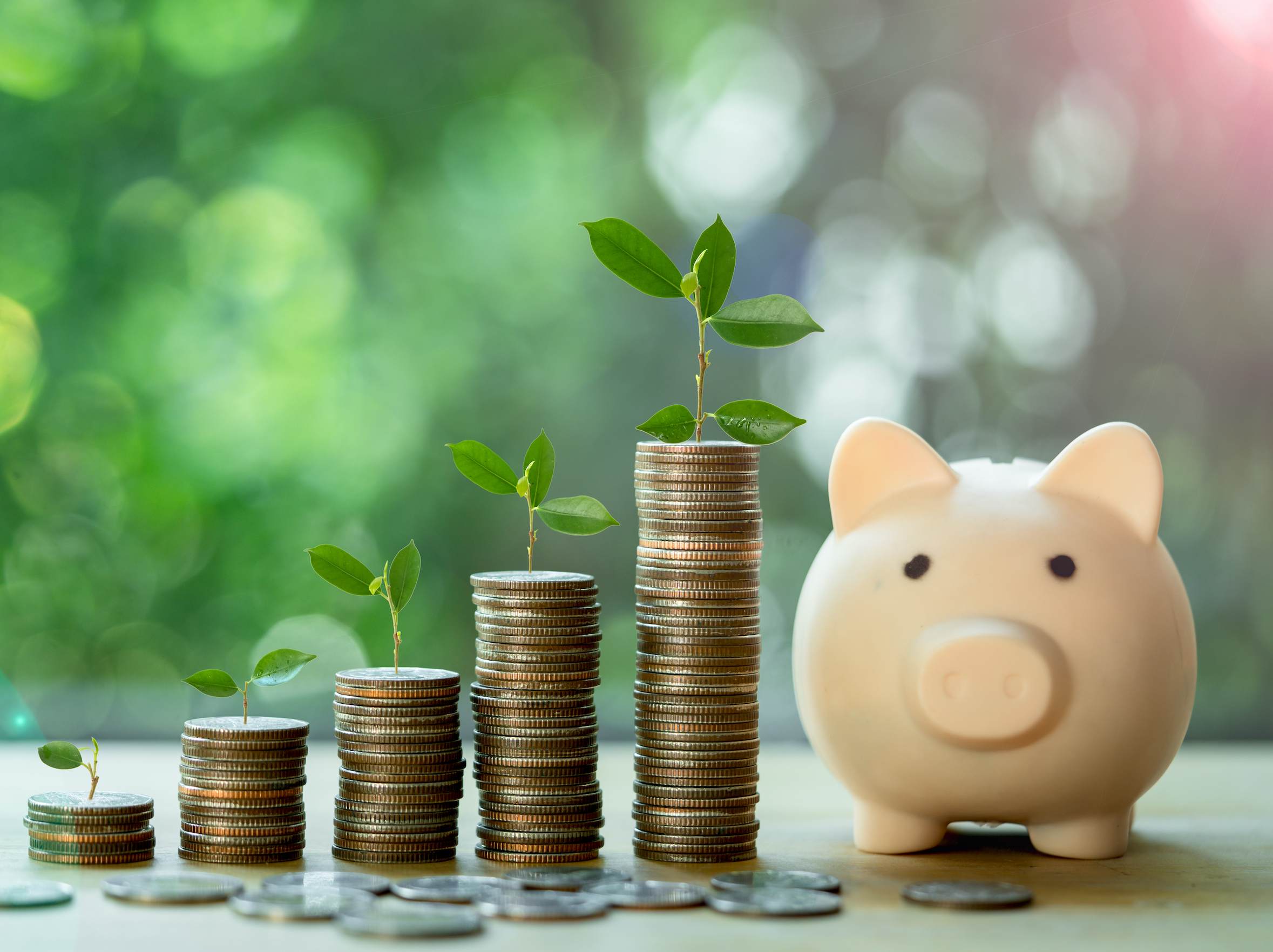 Granite Investment Partners Nearly Liquidates $22 Million Wingstop Stake: Should Investors Sell Too?