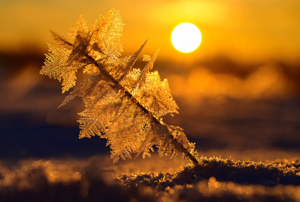 Unloved software stocks have their day in the sun