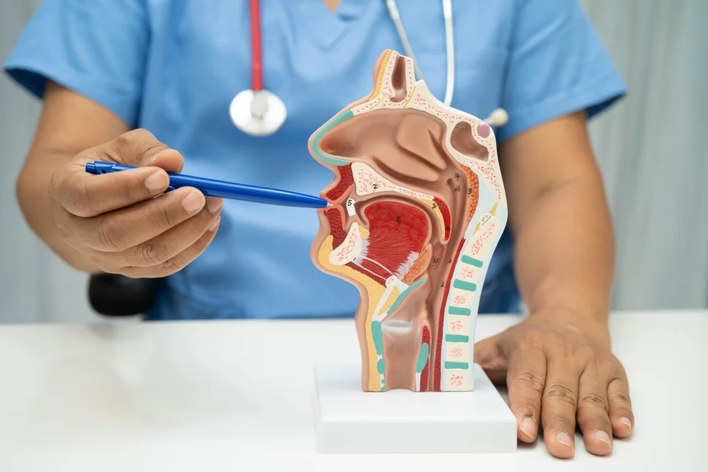 Zymeworks, Jazz Pharmaceuticals Stocks Climb On Robust Gastroesophageal Trial Outcomes And Upcoming Regulatory Plans