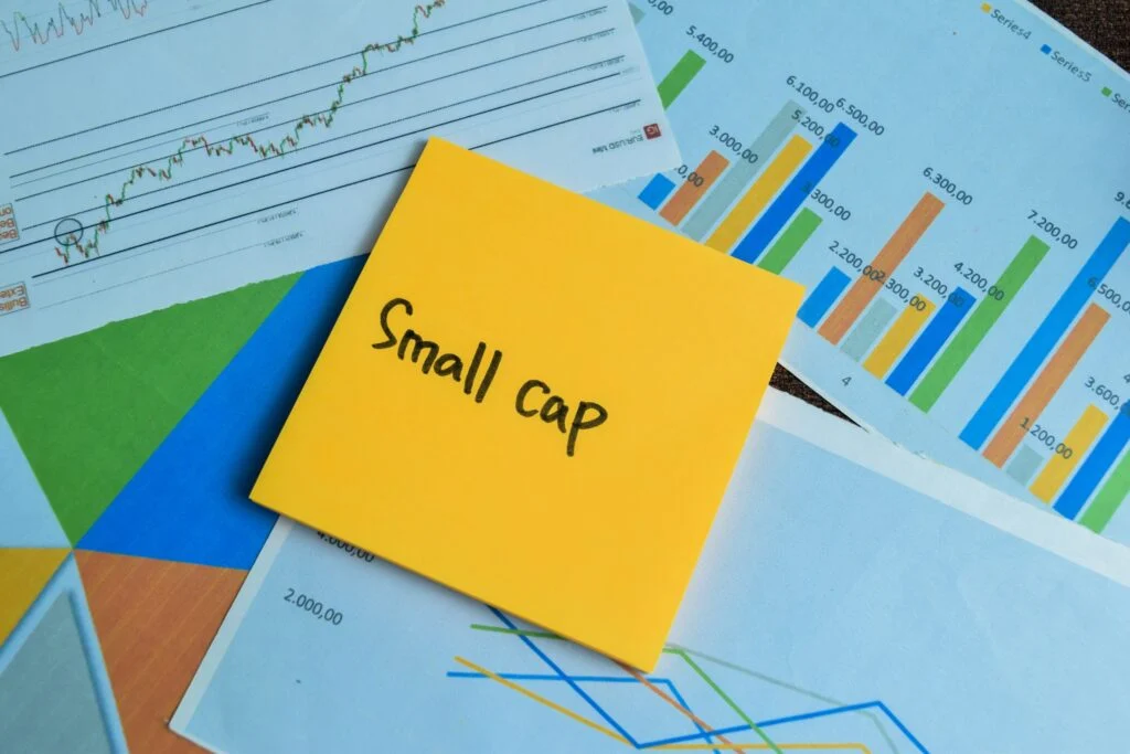 Forget Nvidia And Broadcom, These 5 Small-Cap Chip Stocks Could Rally Big This Year