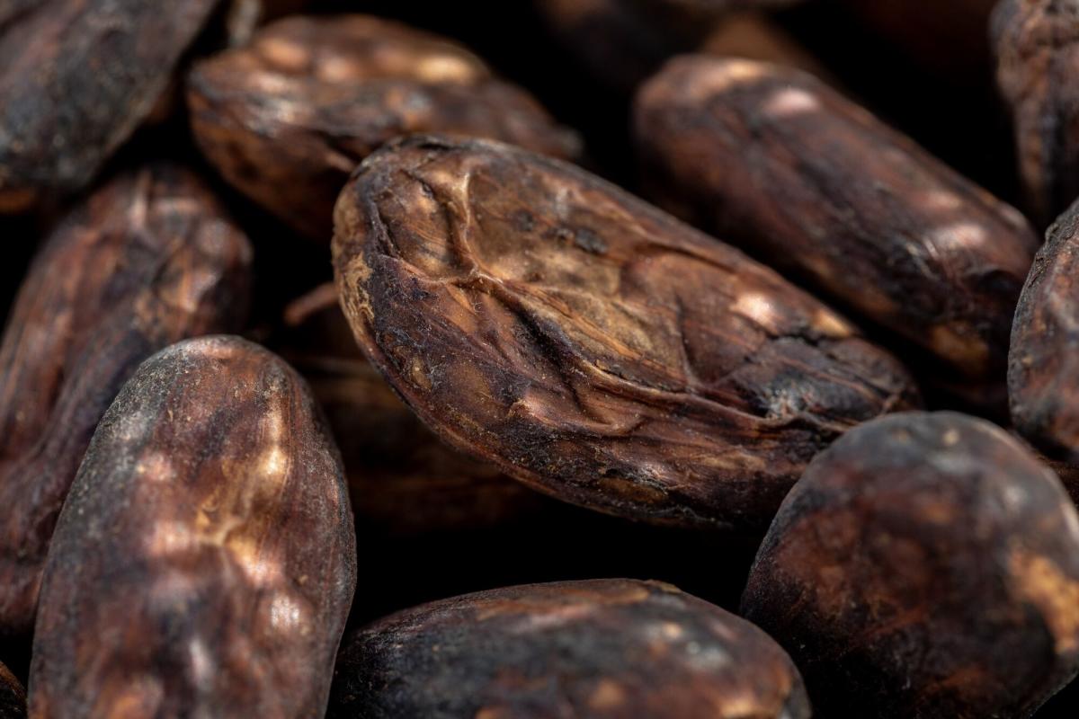 Cocoa Price Swings Show How Liquidity Crunch Fuels Wild Trading